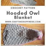 Hooded Owl Blanket by Crafting Happiness MAIN PINTEREST POSTER 1