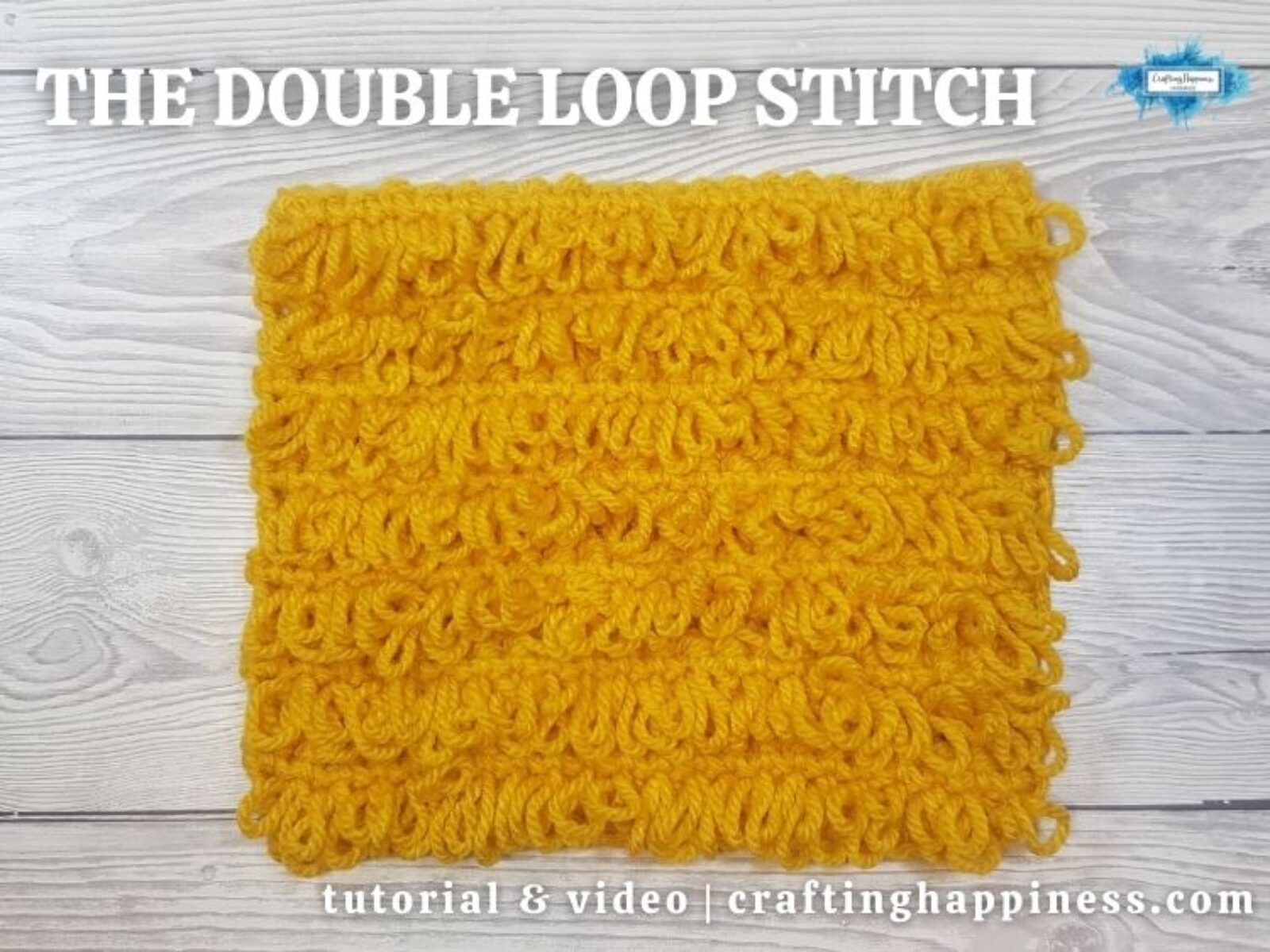 FB BLOG POSTER - The Double Loop Stitch
