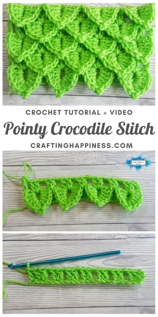MAIN PIN BLOG POSTER - The Pointy Crocodile Stitch