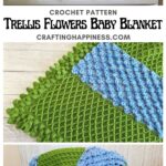 MAIN PIN BLOG POSTER - Trellis Flowers Baby Blanket Crafting Happiness