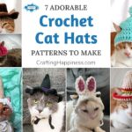7 Adorable Crochet Cat Hat Patterns To Make FB POSTER