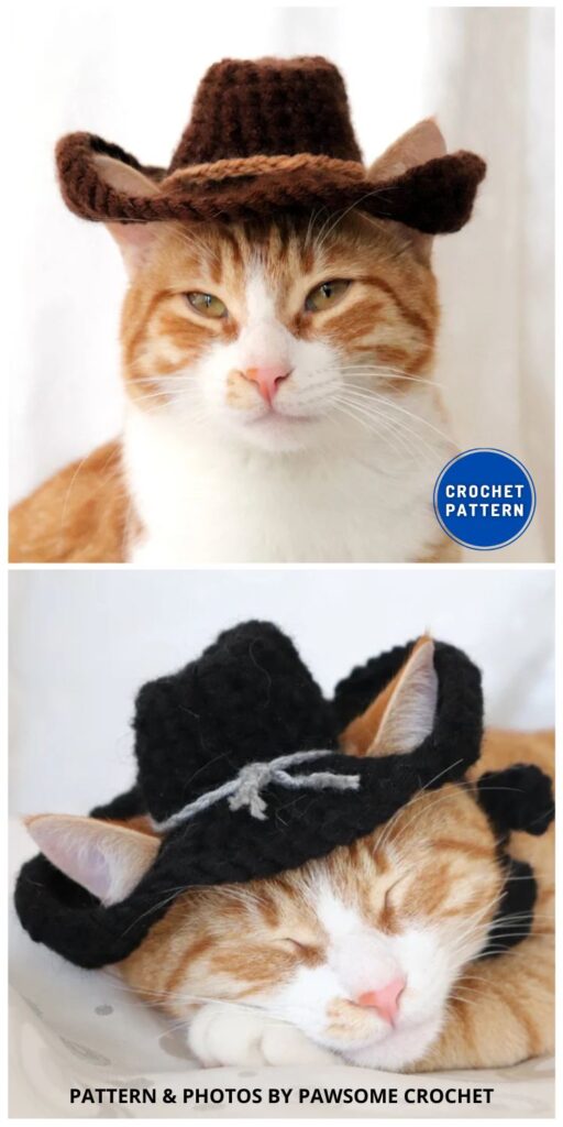 Cowboy Hat - 7 Adorable Crochet Cat Hat Patterns To Make