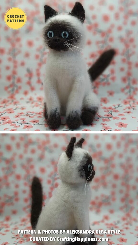 Siamese Cat
