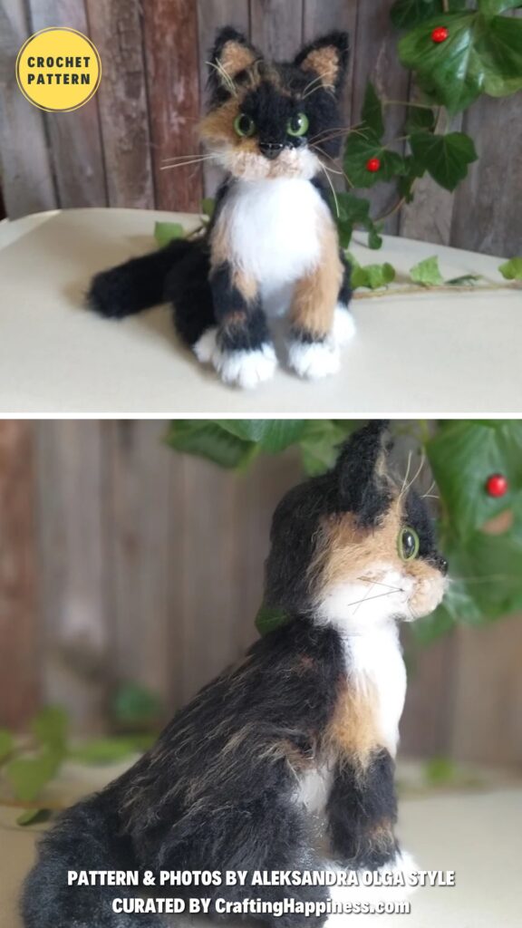 Tortoiseshell Cat