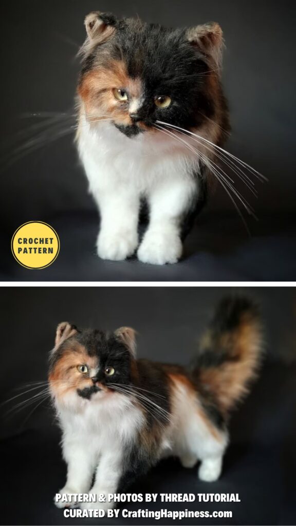 Tricolor Cat