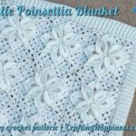 FACEBOOK BLOG POSTER - White Poinsettia Blanket - Crafting Happiness
