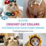 6 Cute Crochet Cat Collar Patterns For Your Furry Friend PIN 1