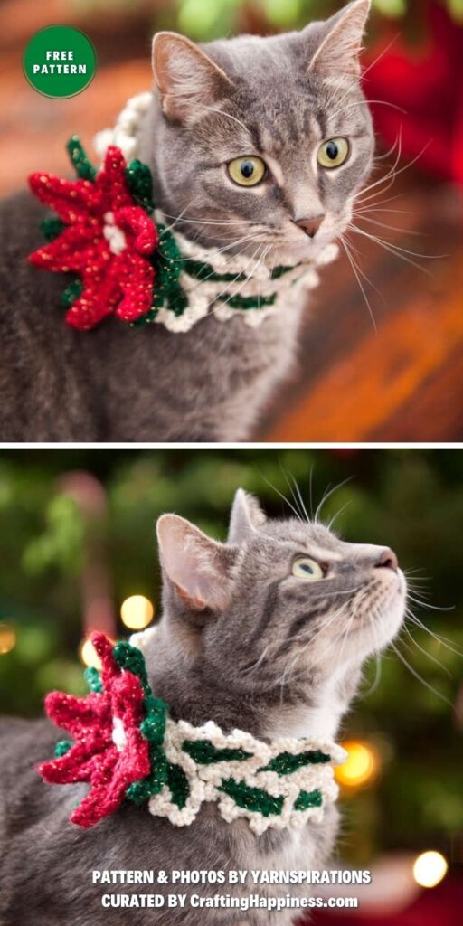 Red Heart Holiday Cat Collar - 6 Cute Crochet Cat Collar Patterns For Your Furry Friend