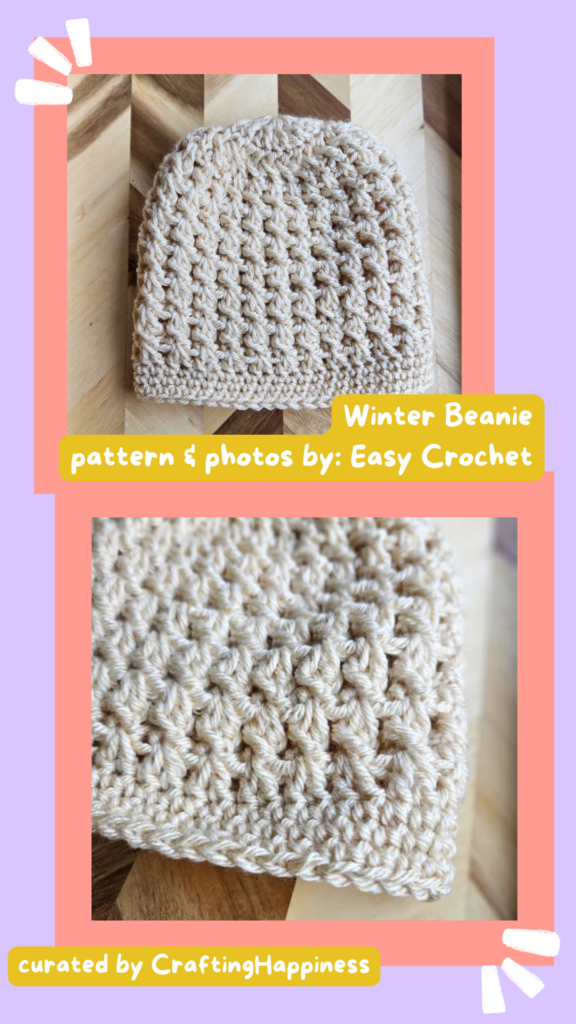 10 Winter Beanie - Crafting Happiness
