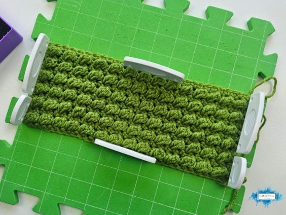 BLOG PHOTO 33 - Ariana's Sedum Stitch- Pattern by Crafting Happiness